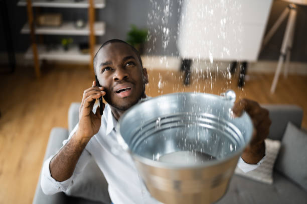 Best Basement water damage restoration  in Fall River, WI