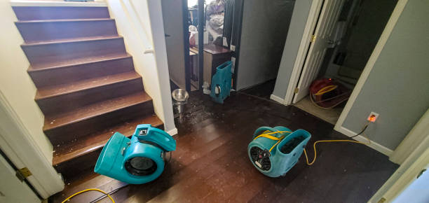 Best Residential water damage restoration  in Fall River, WI