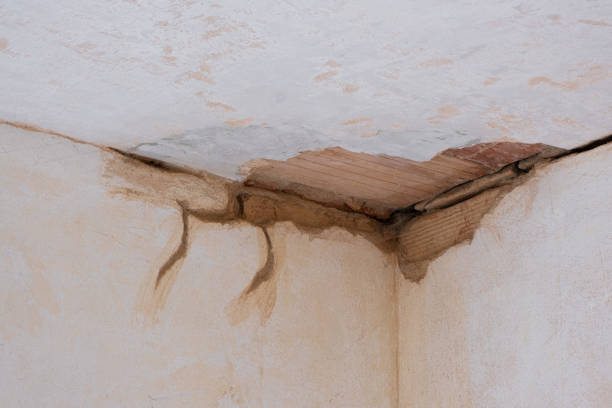 Best Water damage cleanup near me  in Fall River, WI