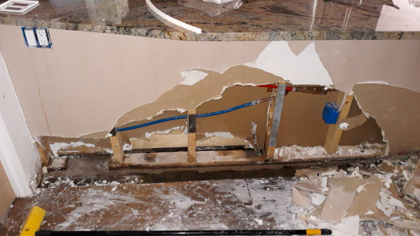 Best Flood restoration services  in Fall River, WI