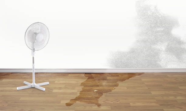 Best Ceiling water damage repair  in Fall River, WI