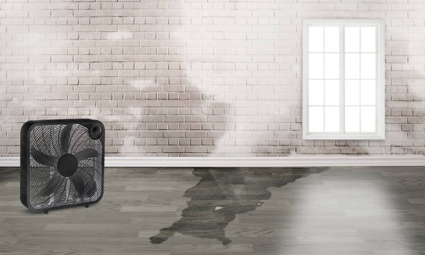 Best Sewage cleanup and water damage restoration  in Fall River, WI