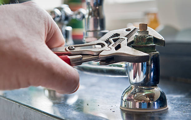 Best Flood damage cleanup  in Fall River, WI