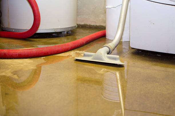 Best Water damage restoration experts  in Fall River, WI