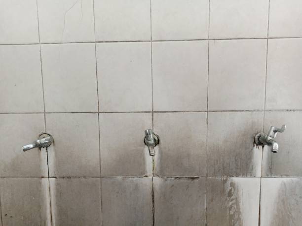 Best Water damage restoration specialists  in Fall River, WI