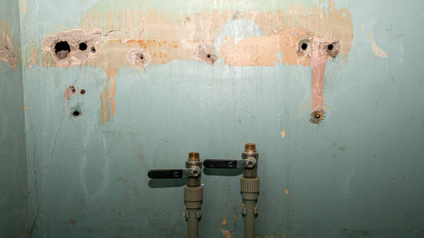 Best 24-hour water damage restoration  in Fall River, WI