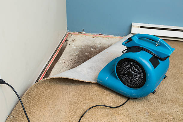 Best Carpet water damage restoration  in Fall River, WI